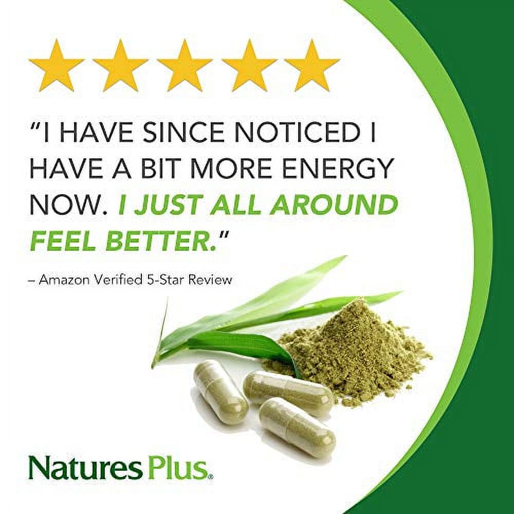 natures-plus-vitamin-d3-125-mcg-5-000-iu-60-softgels-02-6690225ea5d334f5431148273410eb94.jpg