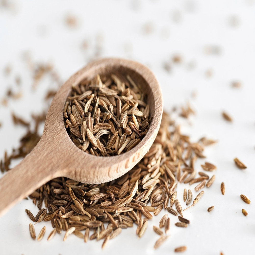 cumin-seeds-3-pounds-kosher-raw-vegan-by-food-to-live-05-631ae04c959de611ab32a56db62bb16e.jpg