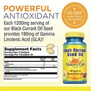 natures-life-black-currant-seed-oil-helps-support-healthy-skin-nails-joints-immune-function-180mg-gla-gamma-linolenic-acid-softgel-60ct-02-a6e563fff265954d5b68fa1de900d72a.jpg