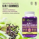 vita-a-to-zee-6-in-1-winter-shield-sugar-free-gummies-vitamin-c-d-zinc-elderberry-echinacea-propolis-support-immunity-digestive-respiratory-system-gluten-free-gmo-free-60-gummies-02-d23ab97d3b820507aee36b0404c8c906.jpg