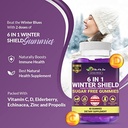 vita-a-to-zee-6-in-1-winter-shield-sugar-free-gummies-vitamin-c-d-zinc-elderberry-echinacea-propolis-support-immunity-digestive-respiratory-system-gluten-free-gmo-free-60-gummies-03-5a3e8aac19a865f715ce91d4de6d6872.jpg
