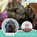 natural-dog-company-paw-soother-organic-and-natural-paw-pad-balm-2-oz-tin-08-3380e85e2430813c98b13170f385461f.jpg