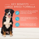 blue-buffalo-true-solutions-livin-large-breed-chicken-dry-dog-food-for-adult-dogs-whole-grain-24-lb-bag-02-ed66de179c19472cee364d34fd712903.jpg
