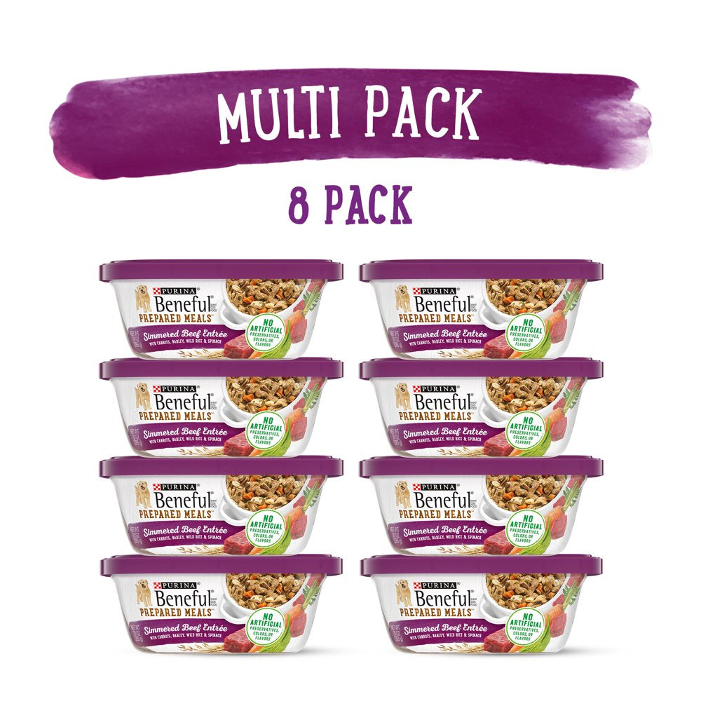 purina-beneful-prepared-meals-wet-dog-food-simmered-beef-entree-10-oz-tubs-8-pack-02-f074242b2b38d1f8db4c9eb146c98208.jpg