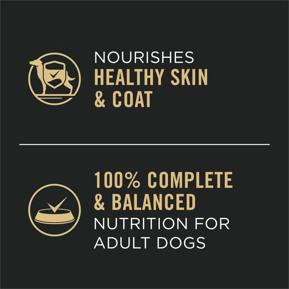 purina-pro-plan-slices-in-gravy-wet-dog-food-for-adult-dogs-lamb-13-oz-cans-12-pack-04-70edacc2485666c8338f0b2afc48ccc9_c4d621e6-a4da-4c55-a3e7-ce30028be9ab.jpg