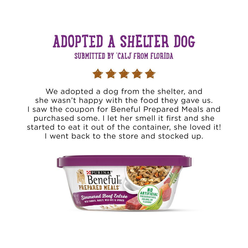 purina-beneful-prepared-meals-wet-dog-food-simmered-beef-entree-10-oz-tubs-8-pack-07-6fb2945d2ebc45d2073b55db17c9fb58.jpg