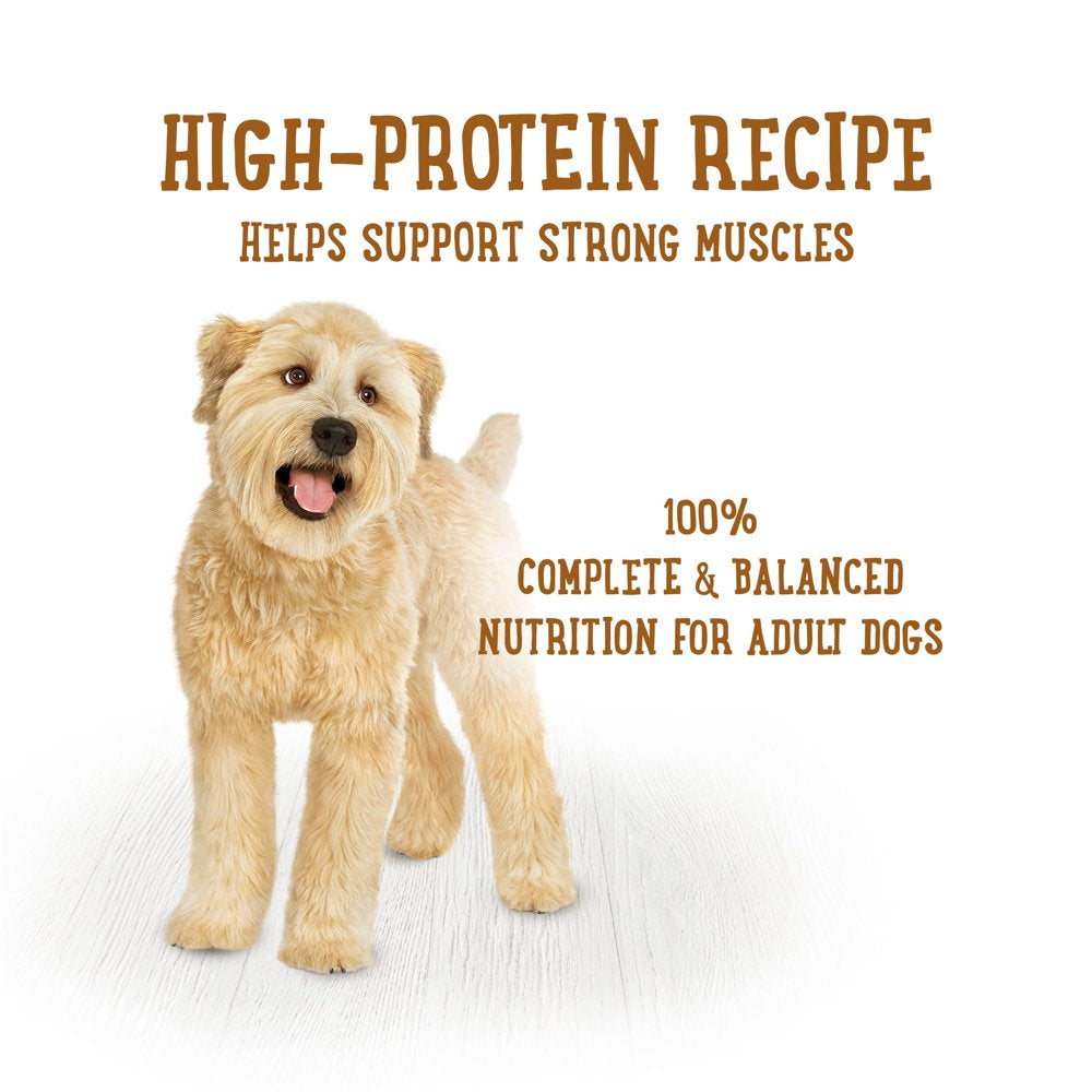 purina-beneful-prepared-meals-wet-dog-food-simmered-beef-entree-10-oz-tubs-8-pack-09-3459bfc005df538aa31eceec98f929e2.jpg