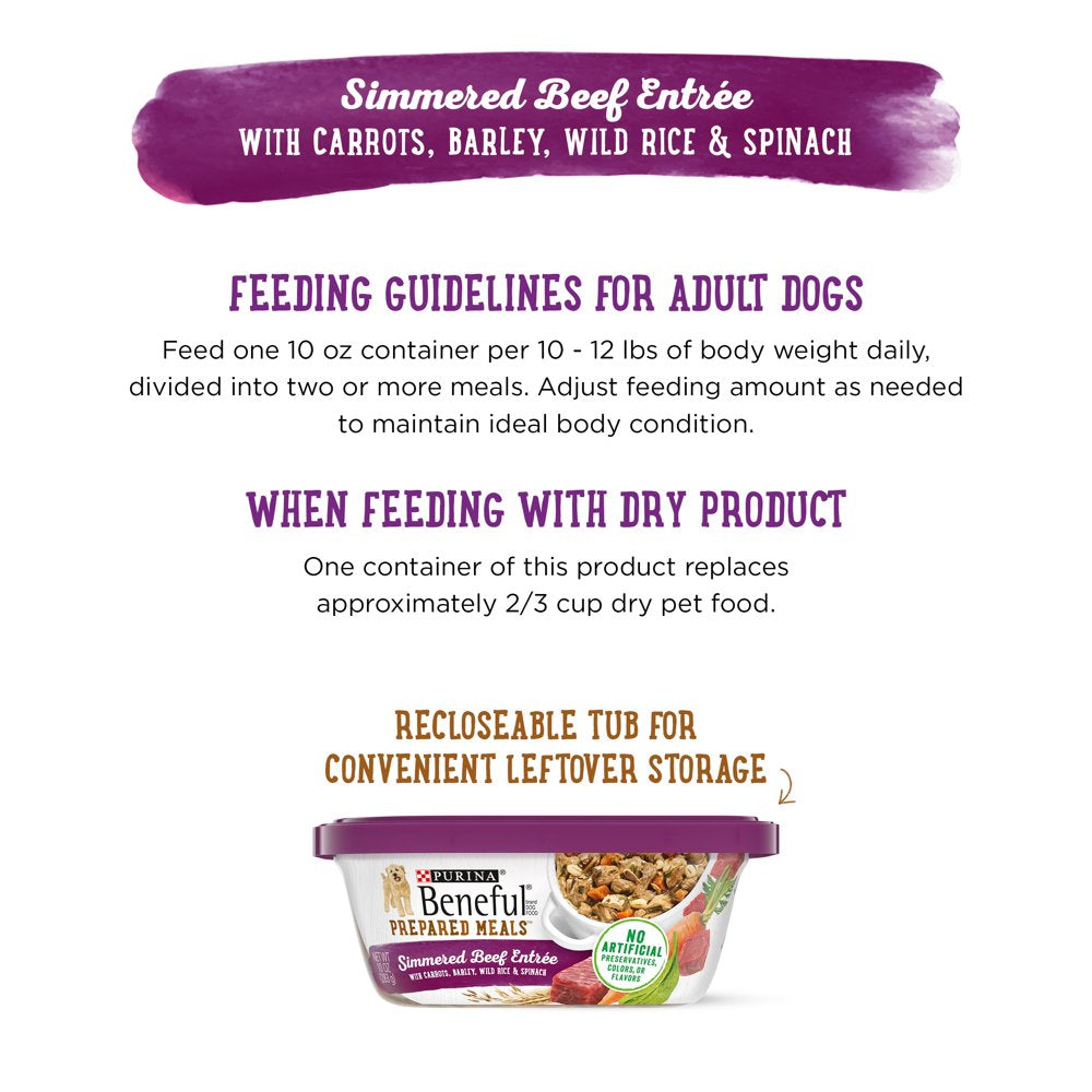 purina-beneful-prepared-meals-wet-dog-food-simmered-beef-entree-10-oz-tubs-8-pack-10-cf8c2f2bfe95b9b881b2db286289012e.jpg