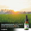 liquidhealth-vitamin-b12-liquid-drops-natural-supplement-for-energy-2-fl-oz-05-7f47b63f8a0e5c1170ba44bf088ed5a2.jpg