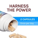 host-defense-breathe-capsules-respiratory-support-mushroom-supplement-with-cordyceps-reishi-and-chaga-unflavored-30-04-7a50e908923a492401c9aaa6dac51813.jpg