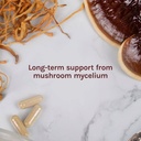 host-defense-breathe-capsules-respiratory-support-mushroom-supplement-with-cordyceps-reishi-and-chaga-unflavored-30-05-df41895f4687a42044da62cb8cbc3ee1.jpg