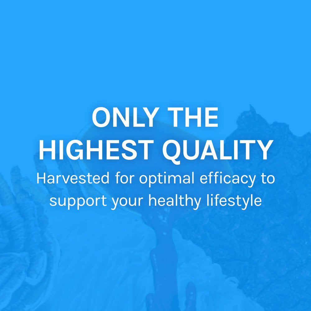 host-defense-breathe-capsules-respiratory-support-mushroom-supplement-with-cordyceps-reishi-and-chaga-unflavored-30-07-7eeafef259106ff62b89d83972014bfa.jpg
