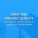 host-defense-breathe-capsules-respiratory-support-mushroom-supplement-with-cordyceps-reishi-and-chaga-unflavored-30-07-7eeafef259106ff62b89d83972014bfa.jpg