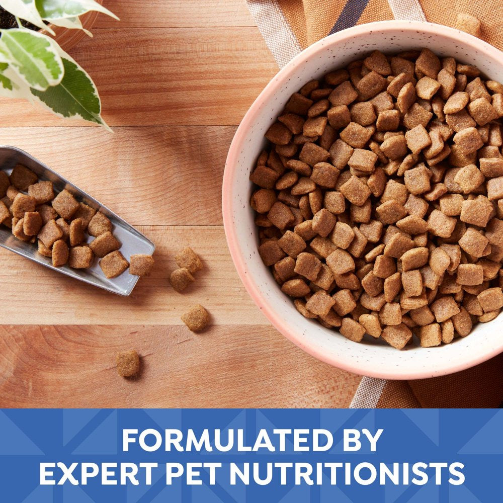 nature-s-recipe-small-breed-grain-free-chicken-sweet-potato-pumpkin-recipe-dry-dog-food-12-lb-05-2cafd226e0548a54f30eb4a191862e7f.jpg