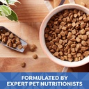 nature-s-recipe-small-breed-grain-free-chicken-sweet-potato-pumpkin-recipe-dry-dog-food-12-lb-05-2cafd226e0548a54f30eb4a191862e7f.jpg