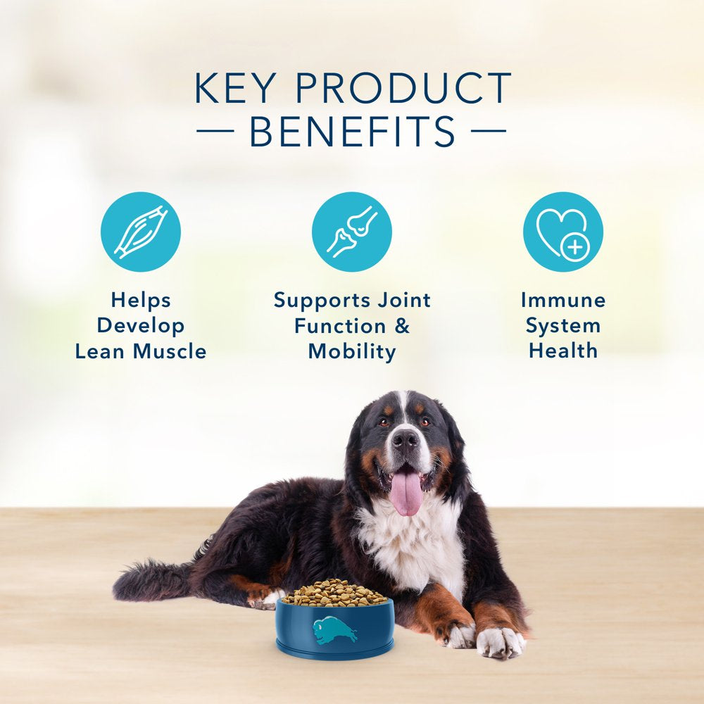 blue-buffalo-basics-skin-stomach-care-large-breed-turkey-and-potato-dry-dog-food-for-adult-dogs-whole-grain-24-lb-bag-05-91d7884ac07c97026f66994d90d40c43.jpg
