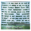 chlorella-manna-powder-20-grams-by-healthforce-nutritionals-05-07eefaa76e49a98150fc116ad9c63e72.jpg