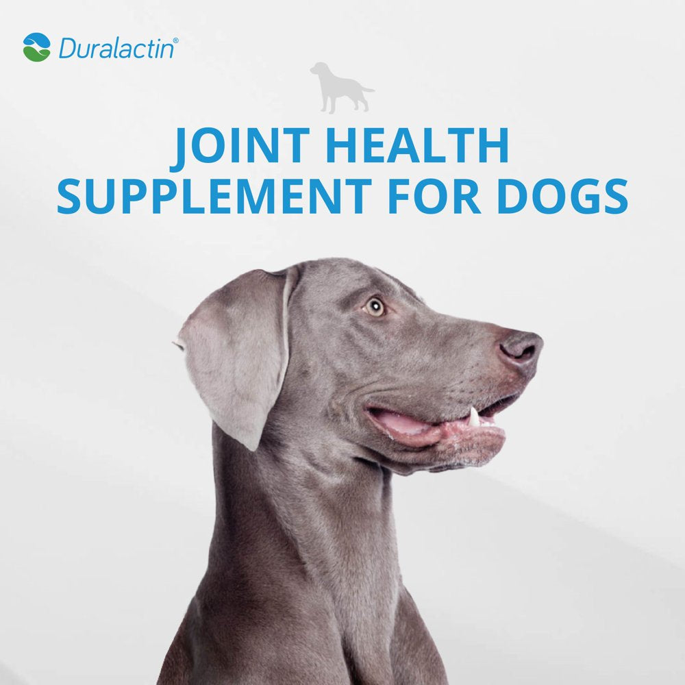 duralactin-canine-joint-plus-soft-chews-for-dogs-90-ct-03-2cd07681fcd47d459bfab3070dd15e98.jpg