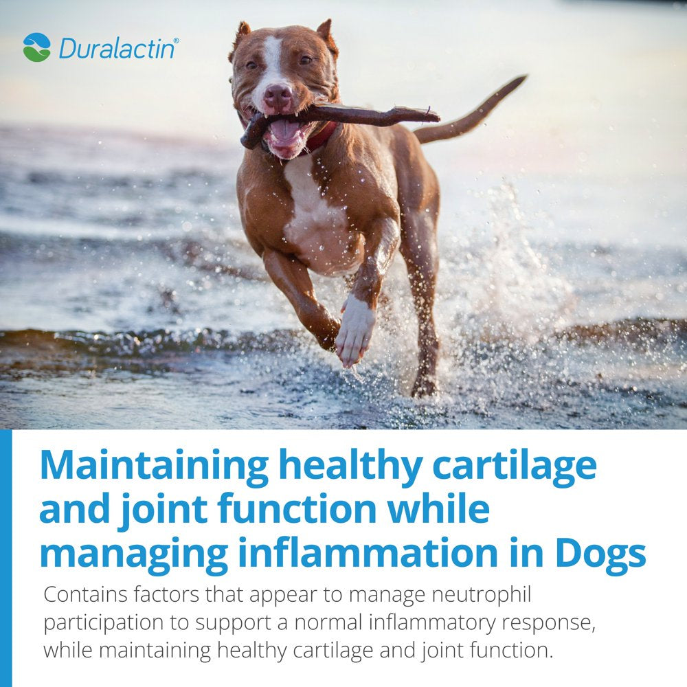 duralactin-canine-joint-plus-soft-chews-for-dogs-90-ct-05-671856185d8dc1fef5236d2495fe3965.jpg