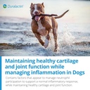 duralactin-canine-joint-plus-soft-chews-for-dogs-90-ct-05-671856185d8dc1fef5236d2495fe3965.jpg