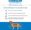 cosequin-ds-chewable-tablets-with-glucosamine-chondroitin-132ct-03-4d6bbe77a62a63cb2d70b0ef0c772816.jpg