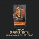 purina-pro-plan-complete-essentials-for-adult-dogs-chicken-carrot-5-5-oz-cans-24-pack-07-634e05fb2164f9fa5f0aaca5502d3d28.jpg