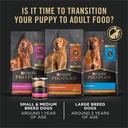 purina-pro-plan-puppy-dry-dog-food-for-large-dogs-under-2-years-real-chicken-rice-34-lb-bag-09-1beca581fb69cf8215799ba953df238e_41a887a1-6507-45d0-889b-c177389e4b62.jpg