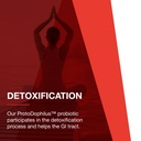 protocol-for-life-balance-protodophilus-50-billion-10-strains-healthy-intestinal-probiotic-flora-to-support-digestive-function-and-immune-health-50-veg-capsules-05-a07e4148dc03fec9788cb50e9d3648fd.jpg