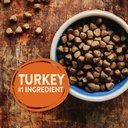 wellness-core-natural-grain-free-dry-dog-food-original-turkey-chicken-26-pound-bag-05-b28b9fb9c05045514c8d12197fd04399.jpg