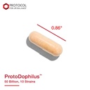 protocol-for-life-balance-protodophilus-50-billion-10-strains-healthy-intestinal-probiotic-flora-to-support-digestive-function-and-immune-health-50-veg-capsules-07-aa71268e12822c3b9d2cf771c5806fc9.jpg