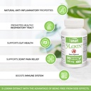 supersmart-5-loxin-200-mg-per-day-with-boswellia-serrata-extract-joint-support-supplement-anti-inflammatory-non-gmo-gluten-free-90-vegetarian-capsules-02-cf8a2327294d63a973aab25726a1f601.jpg