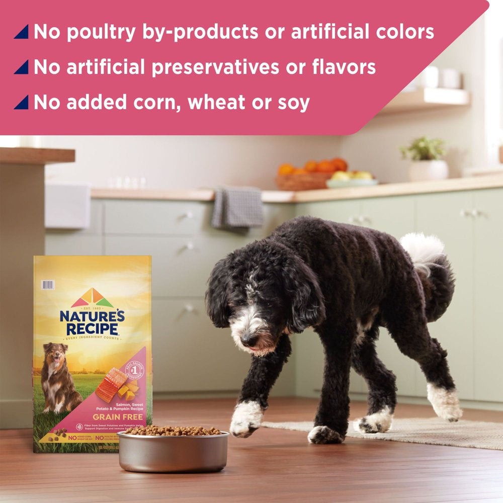 nature-s-recipe-grain-free-salmon-sweet-potato-pumpkin-recipe-dry-dog-food-24-lb-04-beadb597836b2d11ea75e4947d8c41bd.jpg