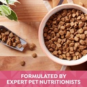 nature-s-recipe-grain-free-salmon-sweet-potato-pumpkin-recipe-dry-dog-food-24-lb-05-1bcfdf4b8a524516b32b62d175472138.jpg