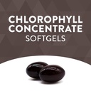 nature-s-way-chlorofresh-chlorophyllin-concentrate-supports-detoxification-pathways-chlorophyllin-copper-complex-supports-healthy-skin-internal-deodorant-100-mg-per-serving-90-softgels-03-7de072f053bb0a93c84c0f5793d9eb17.jpg