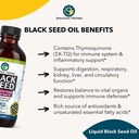 amazing-herbs-black-seed-oil-4-fl-oz-05-689055df3b55f967335109b8a1573b4e.jpg