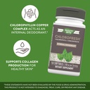 nature-s-way-chlorofresh-chlorophyllin-concentrate-supports-detoxification-pathways-chlorophyllin-copper-complex-supports-healthy-skin-internal-deodorant-100-mg-per-serving-90-softgels-04-dac5a2f5cd8412cdcd847b720129c765.jpg