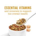 purina-beneful-medleys-romana-style-wet-dog-food-real-meat-and-veggies-3-oz-cans-24-pack-08-552a9aa5bc67ef7fa3a6986d6176ea49.jpg