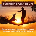 natures-recipe-grain-free-chicken-venison-stew-wet-dog-food-10-ounce-06-ee9401d5f66314f6d802ff4542c531ce_b0a8ca51-f8c5-4993-9bb9-2b936d806c9a.jpg