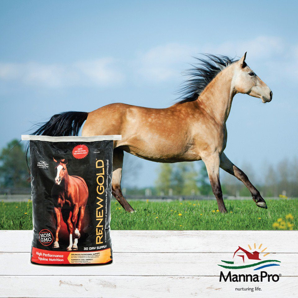 manna-pro-renew-gold-30-lb-07-af869acbe747e13d0df0aa9bd5b38d32.jpg