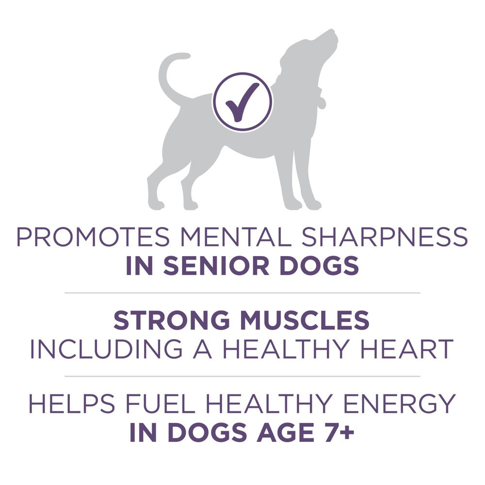purina-one-dry-dog-food-for-senior-dogs-vibrant-maturity-adult-7-plus-real-chicken-16-5-lb-bag-03-dbc9f0098222fa084cbcedd4ff069deb.jpg