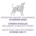 purina-one-dry-dog-food-for-senior-dogs-vibrant-maturity-adult-7-plus-real-chicken-16-5-lb-bag-03-dbc9f0098222fa084cbcedd4ff069deb.jpg