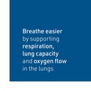 lung-bronchial-sinus-health-by-natural-factors-natural-supplement-for-respiratory-health-and-easy-breathing-90-tablets-04-840b17fc622946ab78b3248c6ac1ae83.jpg