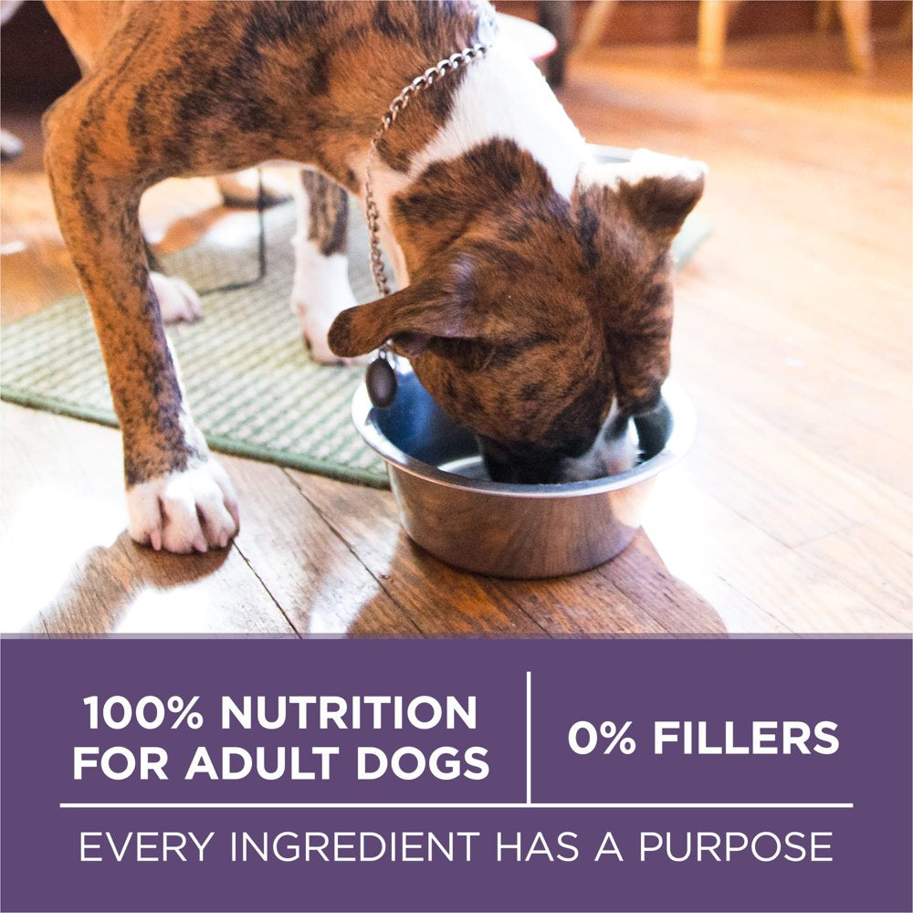 purina-one-dry-dog-food-for-senior-dogs-vibrant-maturity-adult-7-plus-real-chicken-16-5-lb-bag-06-7135c11e867c05f75d2d8d874898dfa9.jpg