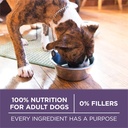 purina-one-dry-dog-food-for-senior-dogs-vibrant-maturity-adult-7-plus-real-chicken-16-5-lb-bag-06-7135c11e867c05f75d2d8d874898dfa9.jpg
