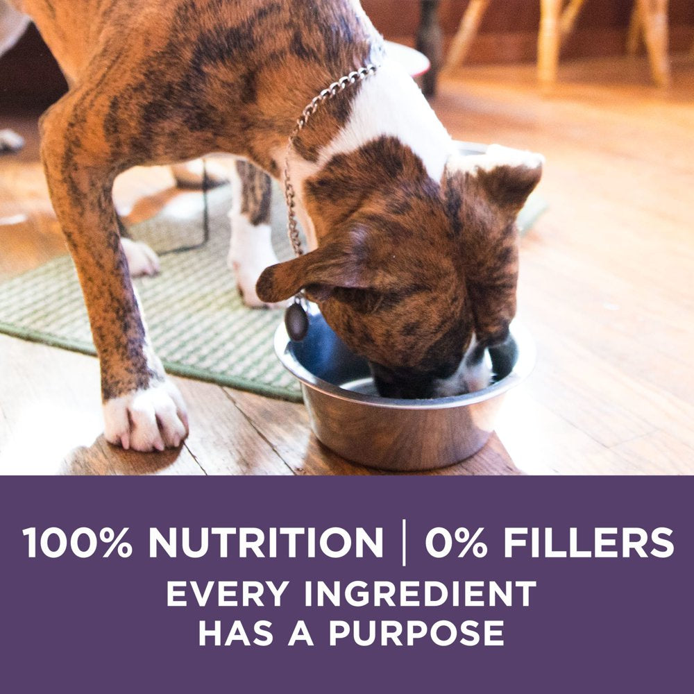 purina-one-dry-dog-food-for-senior-dogs-vibrant-maturity-adult-7-plus-real-chicken-16-5-lb-bag-07-79a46f8ffa8f000aabda9b95156ec34d.jpg