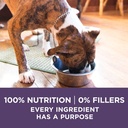 purina-one-dry-dog-food-for-senior-dogs-vibrant-maturity-adult-7-plus-real-chicken-16-5-lb-bag-07-79a46f8ffa8f000aabda9b95156ec34d.jpg