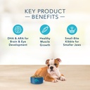blue-buffalo-basics-skin-stomach-care-turkey-and-potato-dry-dog-food-for-puppies-whole-grain-4-lb-bag-05-72d73c4b8fea8e51bb0ca3326bbb71f4.jpg