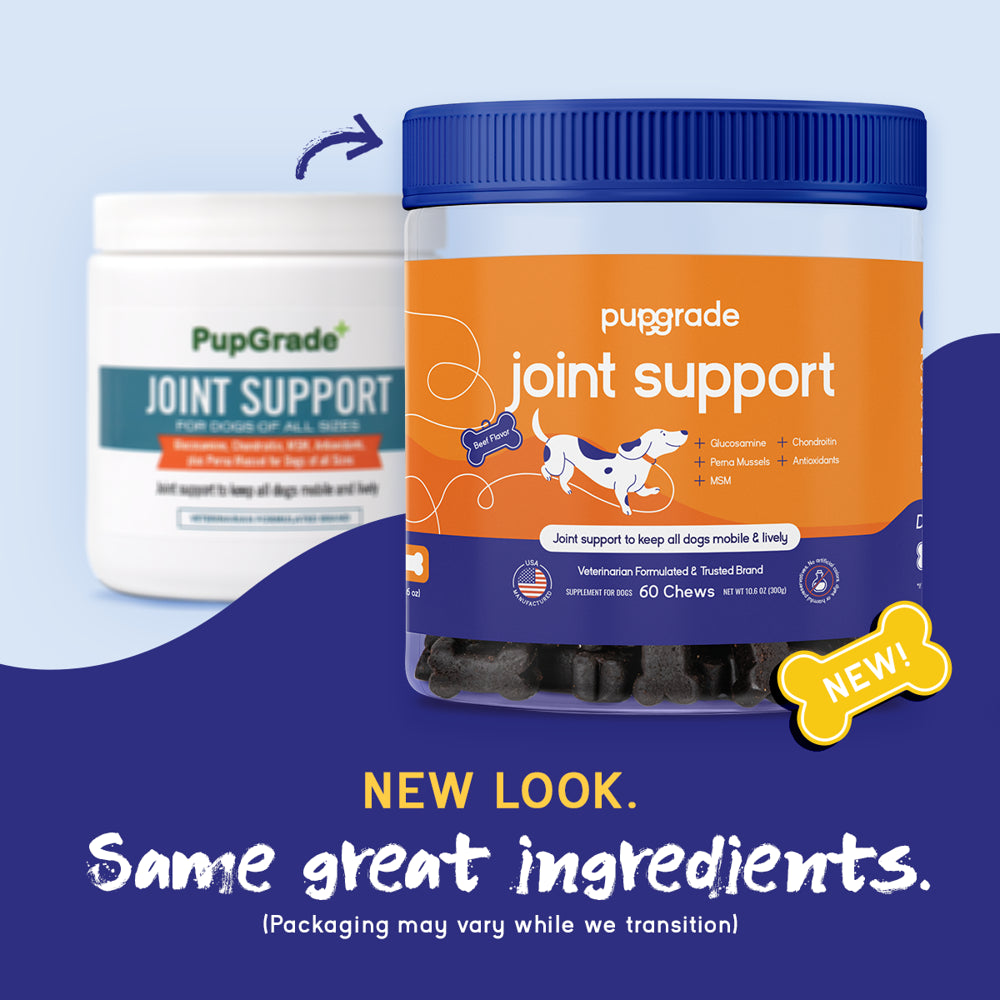 pupgrade-joint-support-supplement-for-dogs-natural-glucosamine-chondroitin-msm-soft-chews-for-hip-and-joint-pain-relief-recommended-for-hip-dysplasia-arthritis-joint-disease-05-d0d4613b776ae9a7db616ebf7994714e.jpg