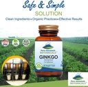 ginkgo-biloba-capsules-with-400mg-organic-ginkgo-biloba-leaf-and-extract-natures-brain-supplement-kosher-vegan-90-caps-02-08add4abbd2ea8159fee6276ad9a2c6a.jpg