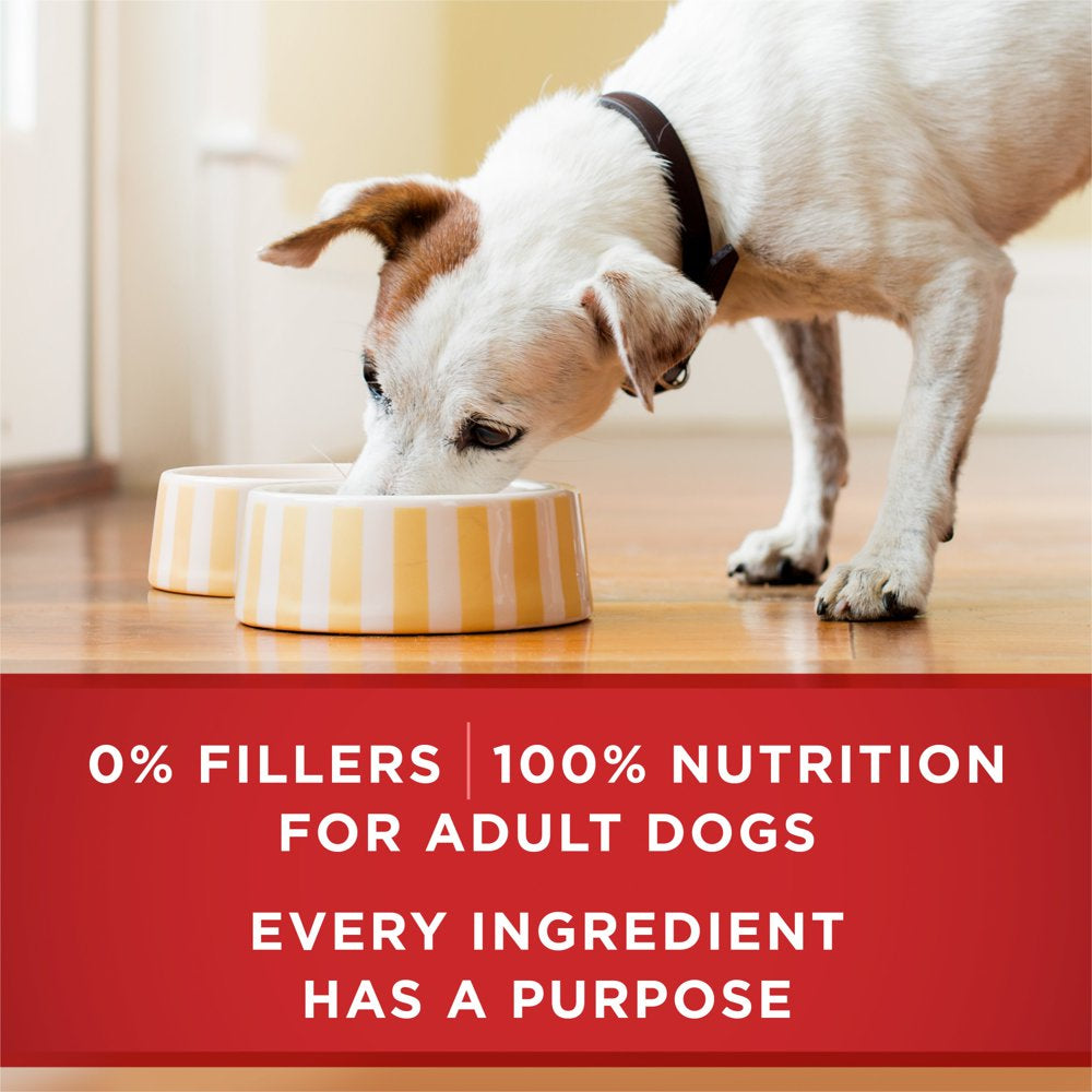 purina-one-classic-ground-for-adult-dogs-chicken-and-brown-rice-13-oz-cans-12-pack-06-e74a87568bb38dfc912b612cd180a28a.jpg